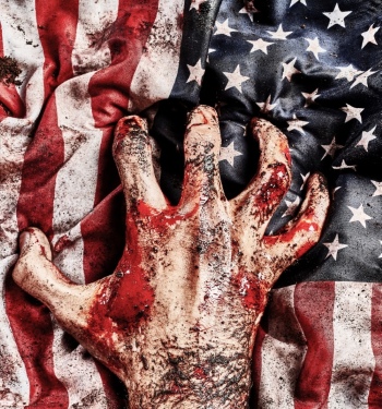 Bloody American Flags - Hero or Invader 32 Images
