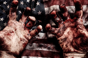 Bloody American Flags - Hero or Invader 32 Images