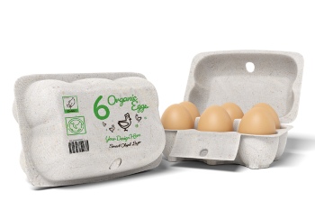 Food & Drink Mockups #1, 24xPSDT