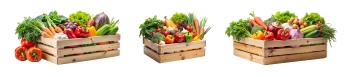 Mass Veggies 28xPNG