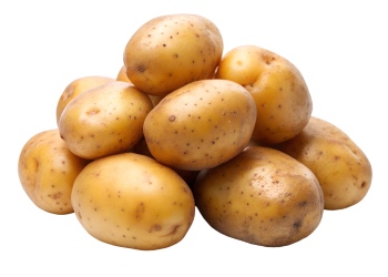 Potatoes, Onions & Garlic 25xPNG