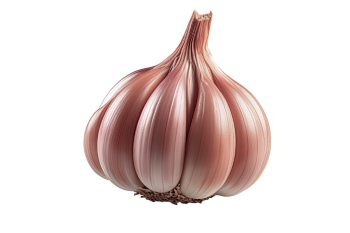 Potatoes, Onions & Garlic 25xPNG