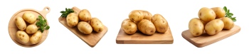 Potatoes, Onions & Garlic 25xPNG