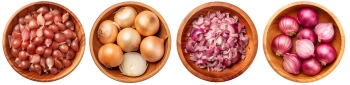 Potatoes, Onions & Garlic 25xPNG