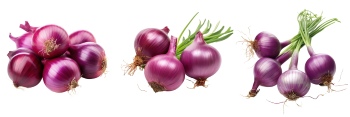 Potatoes, Onions & Garlic 25xPNG