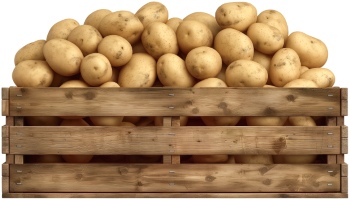 Potatoes, Onions & Garlic 25xPNG