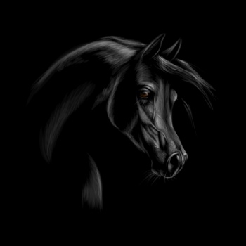 Horse Vector Art Illustrations #1, 25xAI