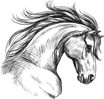 Horse Vector Art Illustrations #1, 25xAI