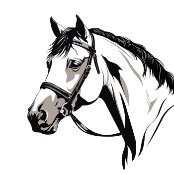 Horse Vector Art Illustrations #1, 25xAI