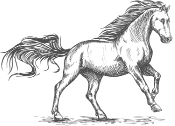 Horse Vector Art Illustrations #2, 28xAI