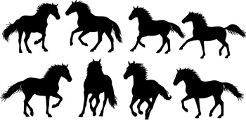 Horse Vector Art Illustrations #2, 28xAI