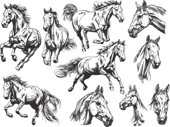 Horse Vector Art Illustrations #2, 28xAI