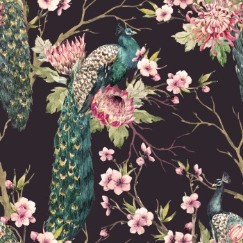 Peacock Patterns, Artworks & Backgrounds 34xAI