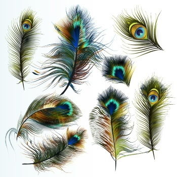Peacock Patterns, Artworks & Backgrounds 34xAI