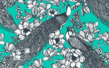 Peacock Patterns, Artworks & Backgrounds 34xAI
