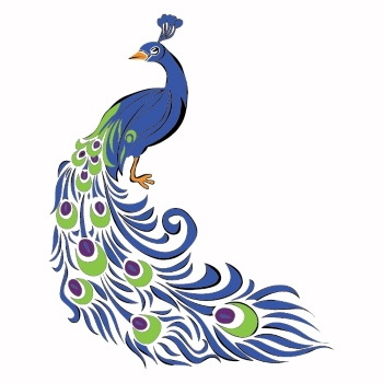 Peacock Patterns, Artworks & Backgrounds 34xAI