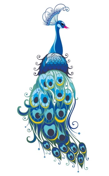 Peacock Patterns, Artworks & Backgrounds 34xAI