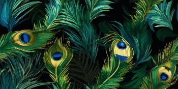 Peacock Patterns, Artworks & Backgrounds 34xAI