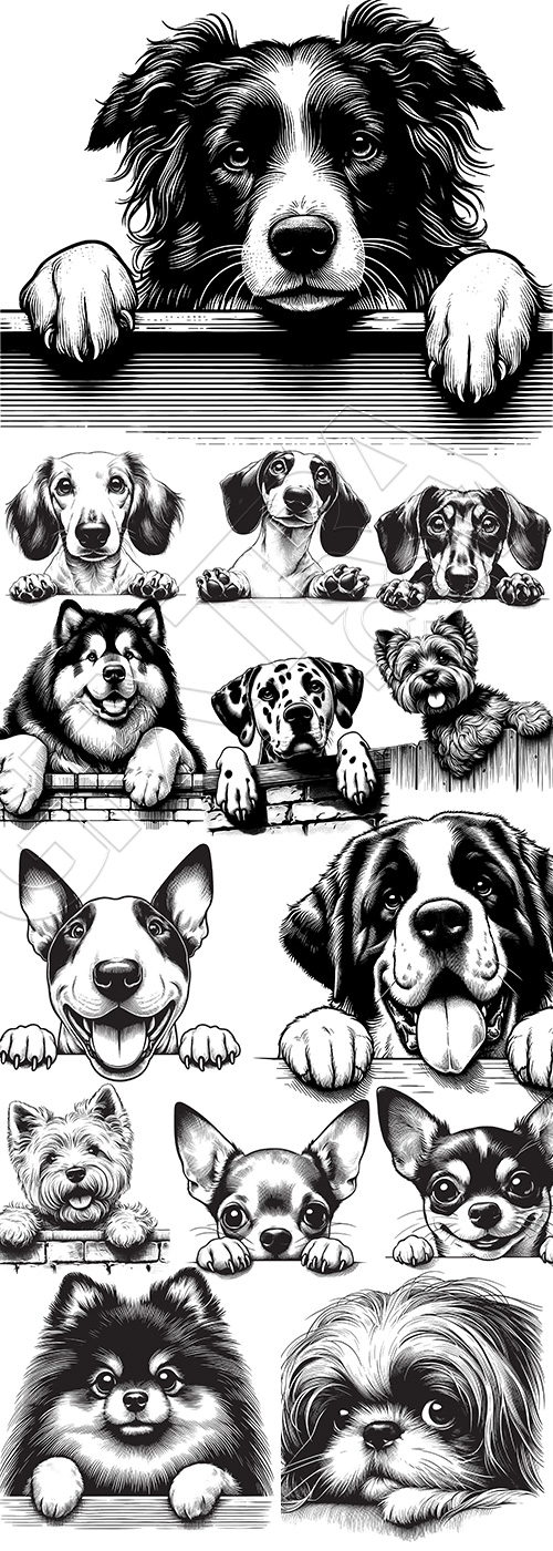 Hand Drawn Dog Vector Sketches #1, 25xAI