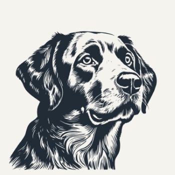 Hand Drawn Dog Vector Sketches #2, 25xAI