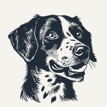 Hand Drawn Dog Vector Sketches #2, 25xAI