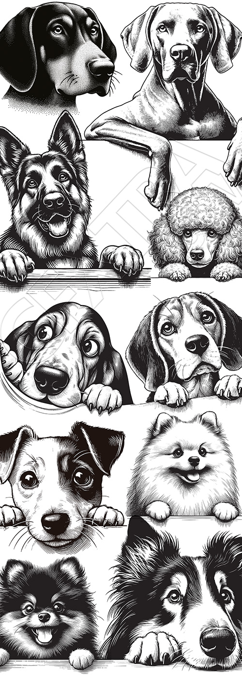 Hand Drawn Dog Vector Sketches #3, 25xAI