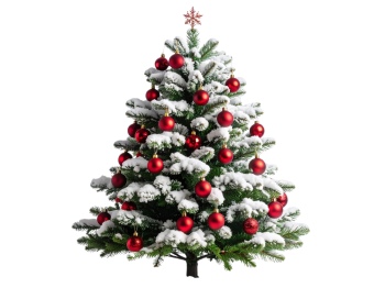 Christmass Tree & Pine Decorations 30xPNG