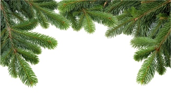 Christmass Tree & Pine Decorations 30xPNG