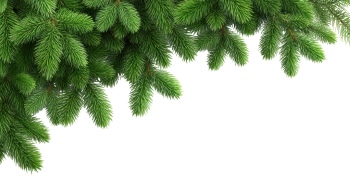 Christmass Tree & Pine Decorations 30xPNG