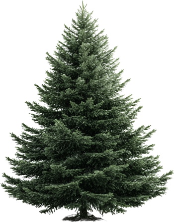 Christmass Tree & Pine Decorations 30xPNG