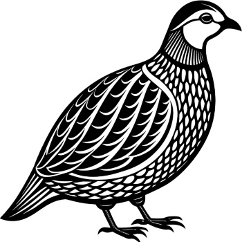 Partridge 29xPNG, 15xAI