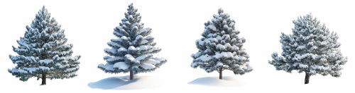 Transparent Trees & Forests 24xPNG
