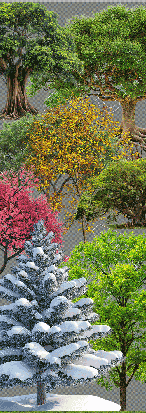 Transparent Trees & Forests 24xPNG