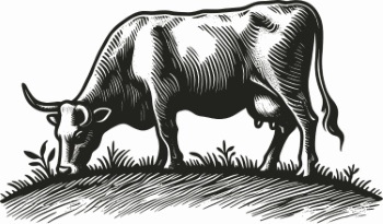 Farm Animal Vintage Engravers Collection #2, 44xAI