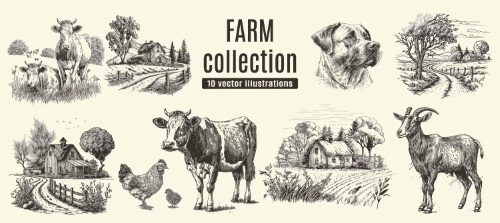 Farm Animal Vintage Engravers Collection #1, 24xAI 5xJPEG