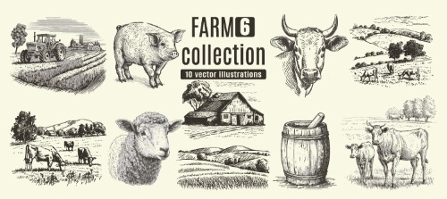 Farm Animal Vintage Engravers Collection #1, 24xAI 5xJPEG