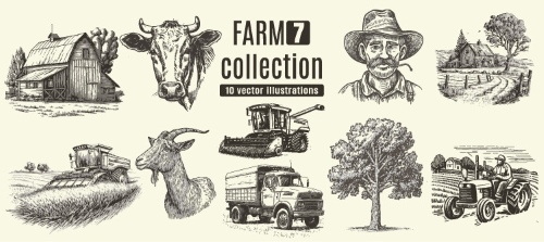 Farm Animal Vintage Engravers Collection #1, 24xAI 5xJPEG