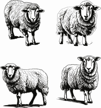 Farm Animal Vintage Engravers Collection #1, 24xAI 5xJPEG