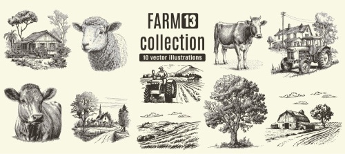 Farm Animal Vintage Engravers Collection #1, 24xAI 5xJPEG