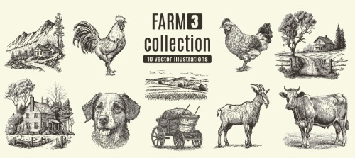 Farm Animal Vintage Engravers Collection #1, 24xAI 5xJPEG