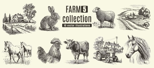 Farm Animal Vintage Engravers Collection #1, 24xAI 5xJPEG
