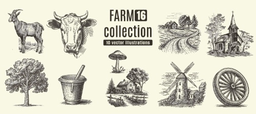 Farm Animal Vintage Engravers Collection #1, 24xAI 5xJPEG
