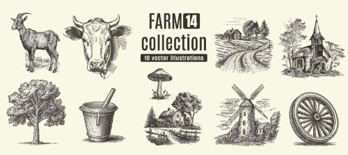 Farm Animal Vintage Engravers Collection #1, 24xAI 5xJPEG