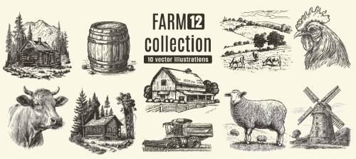 Farm Animal Vintage Engravers Collection #1, 24xAI 5xJPEG