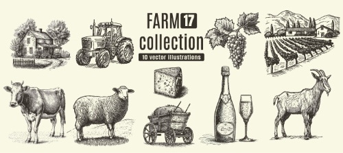 Farm Animal Vintage Engravers Collection #1, 24xAI 5xJPEG