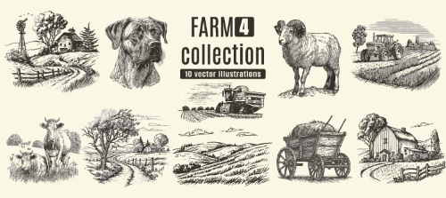 Farm Animal Vintage Engravers Collection #1, 24xAI 5xJPEG