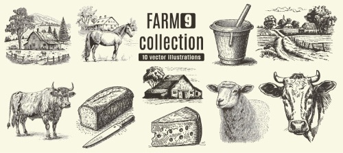 Farm Animal Vintage Engravers Collection #1, 24xAI 5xJPEG