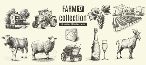 Farm Animal Vintage Engravers Collection #1, 24xAI 12xJPEG