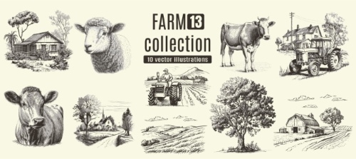Farm Animal Vintage Engravers Collection #1, 24xAI 12xJPEG