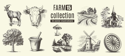 Farm Animal Vintage Engravers Collection #1, 24xAI 5xJPEG
